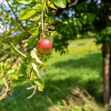 Villa La Petite Ivy, Trenninghof 1302, Wachau - Managed By Sky9 Mühldorf
